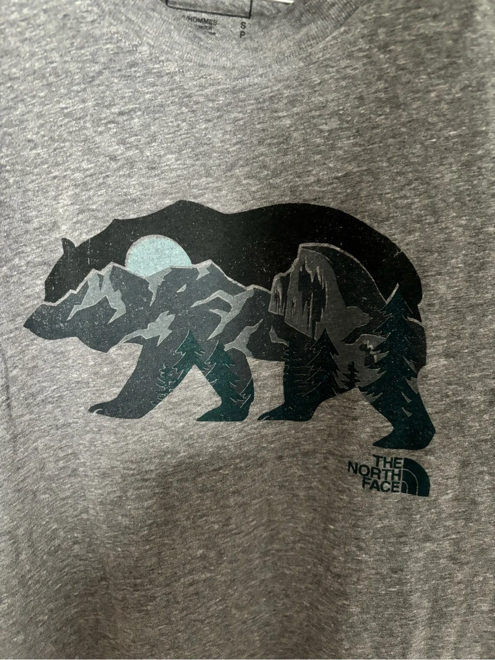 The North Face Men's Charcoal Gray Bear Graphic Short Sleeve Tee